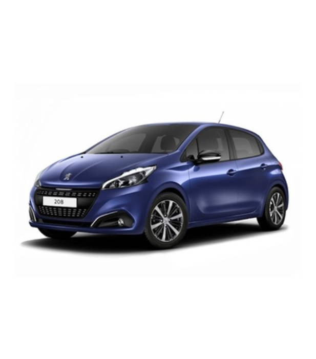 PEUGEOT 208 - 2017